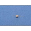 Horn Lyre Screw for Trumpets, Cornets, Tubas, Sousaphones, and Euphoniums