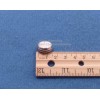 Bach Trumpet Finger Top screw Cap button with Pearl for Bach TR300H2(ONLY),TR305 and others